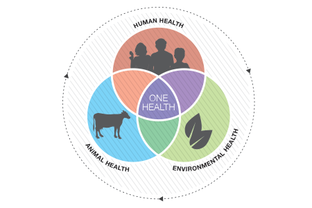 a diagram of the intersection of human, animal, and environmental health