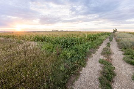 country road, take me home