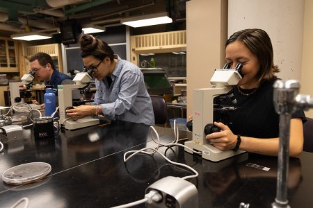 people doing science with microscopes